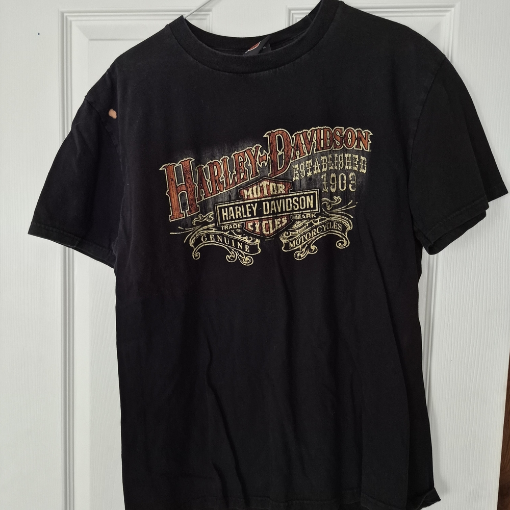 Harley-Davidson Black Graphic T-Shirt for Men